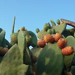 Dal Pozzo 3* סורסו