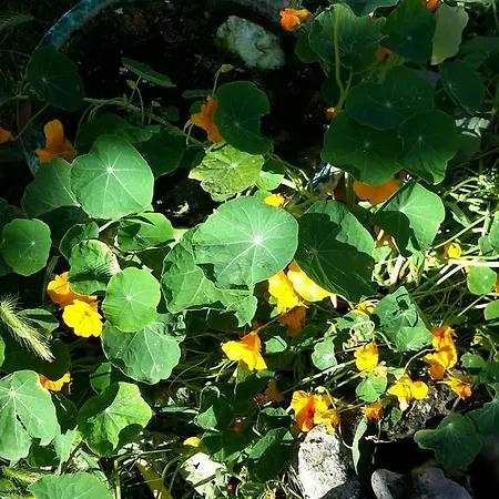 Bed & Breakfast Dal Pozzo Sorso