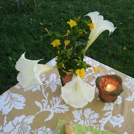 Bed & Breakfast Dal Pozzo Sorso