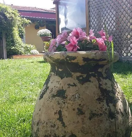 Dal Pozzo