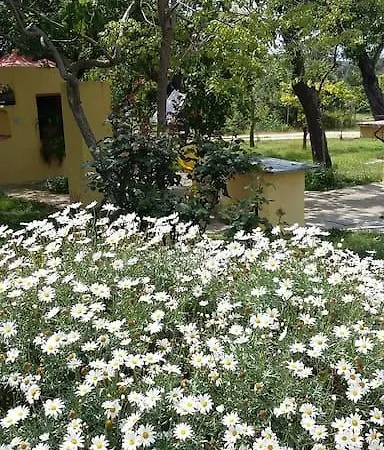 Oda ve Kahvaltı Dal Pozzo Sorso