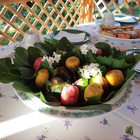 Dal Pozzo סורסו