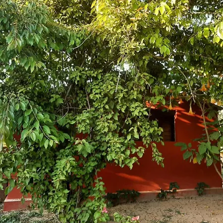 Dal Pozzo 4* ソルソ