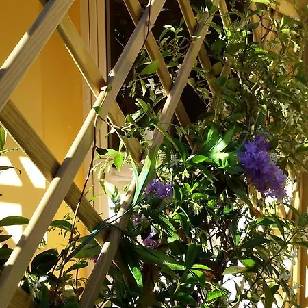 Frühstückspension Dal Pozzo 4*