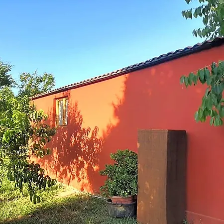 Dal Pozzo