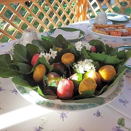 Oda ve Kahvaltı Dal Pozzo Sorso