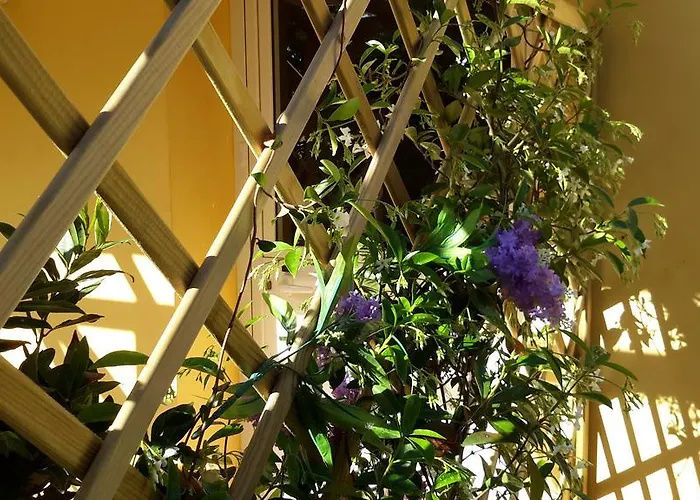 Panzió Dal Pozzo 4*