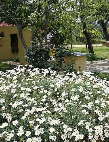 Panzió Dal Pozzo Sorso